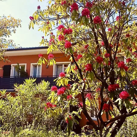 Boutique Cuserina Wellness 3* Cannobio