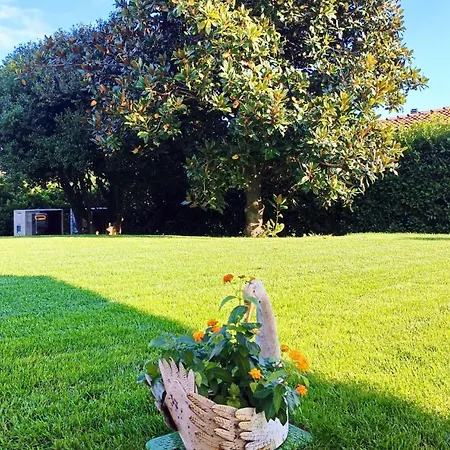 Ξενοδοχείο Cuserina